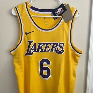 Nike NBA LeBron James Lakers Swingman Jersey #6 Sz L CW3669-738 Authentic NEW